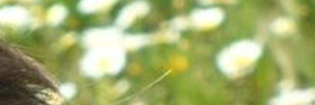 emeuve41's profile banner image