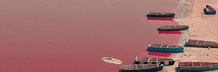 pac941's profile banner image