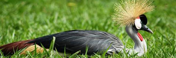 samkennethm's profile banner image