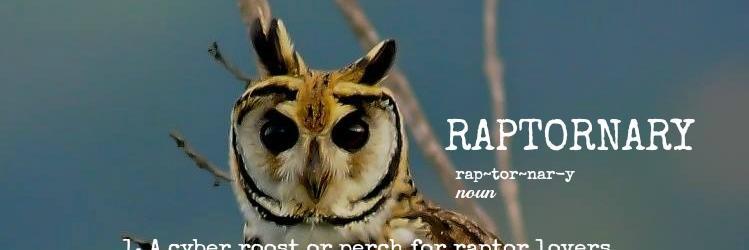 TheRaptornary's profile banner image