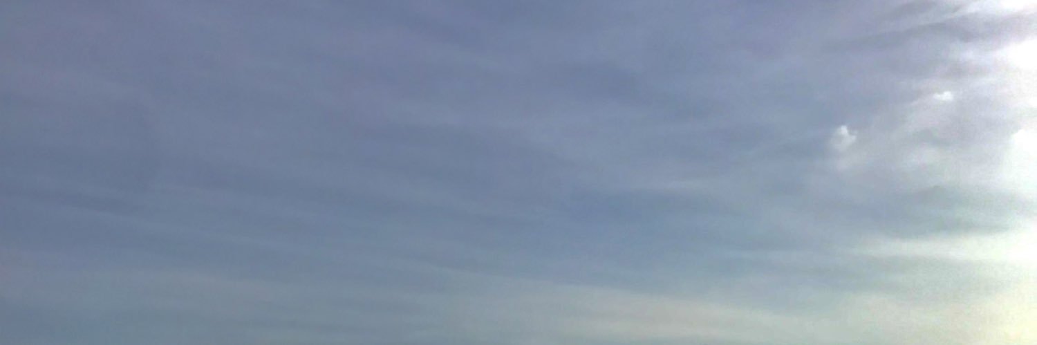 graymermaidd's profile banner image
