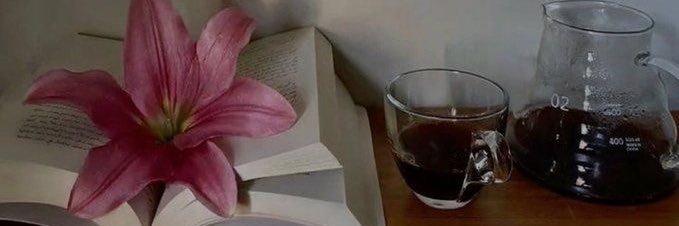 il5si's profile banner image