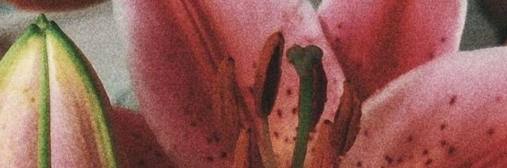 andreagbrll's profile banner image