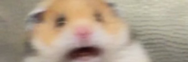 pikarar Profile Banner