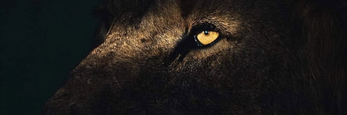 PunitSharmaGwl's profile banner image