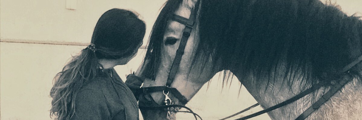 LuciaaMC6's profile banner image