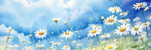 JvarMeme Profile Banner