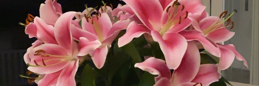GabCompton's profile banner image