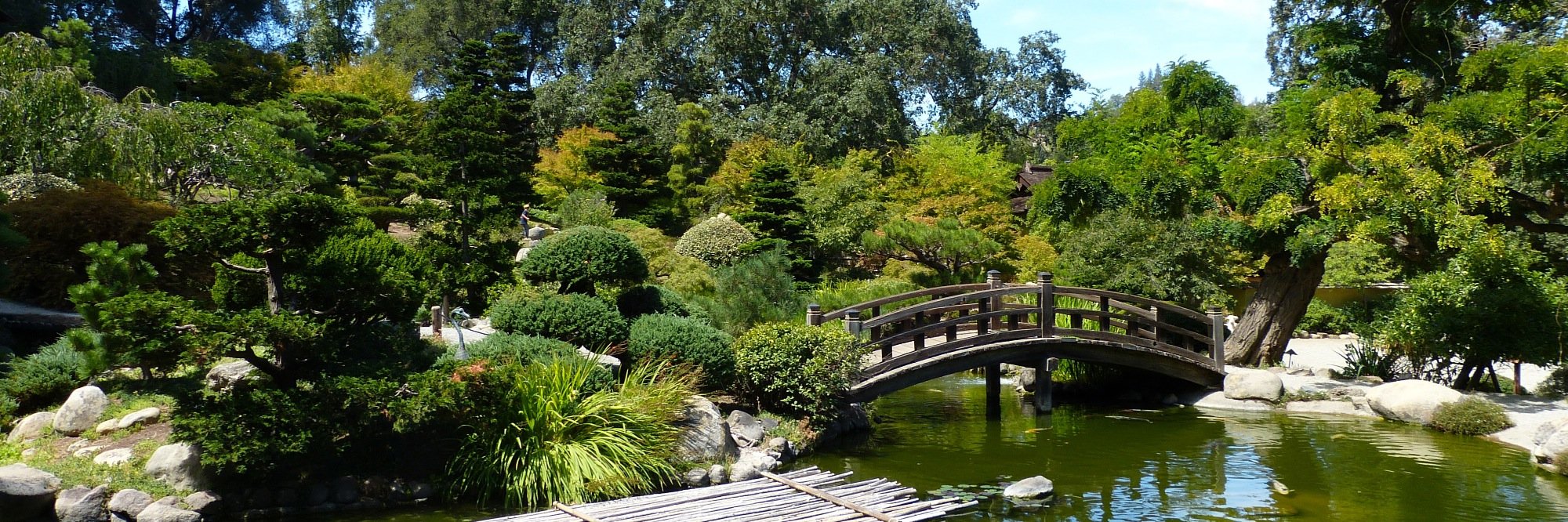 Adam Overholtzer banner