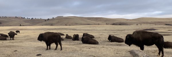 johnsonjesse Profile Banner