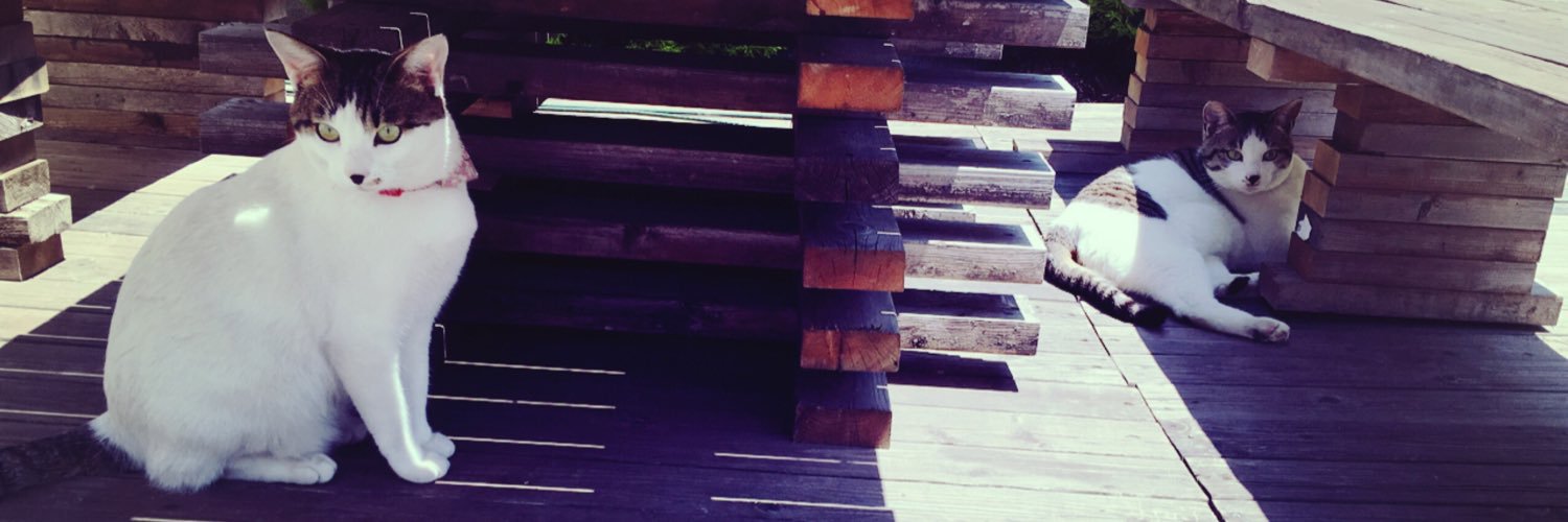 もやしきのこ banner