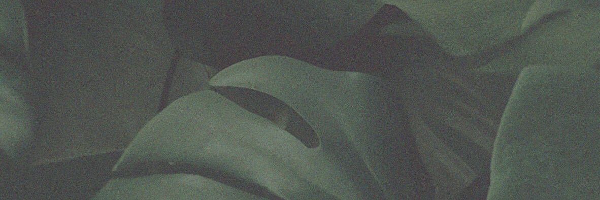 hannahhfette's profile banner image