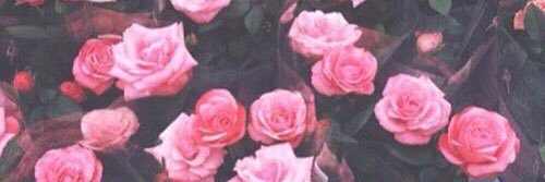 teruna1006's profile banner image
