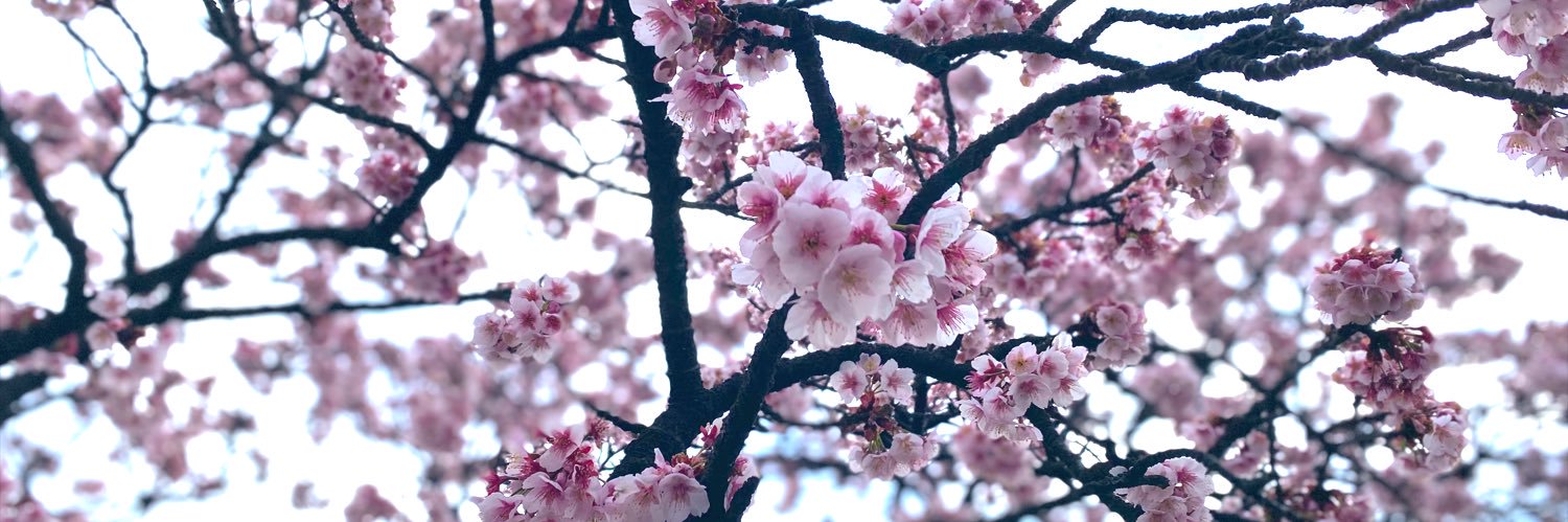 ss_trust's profile banner image