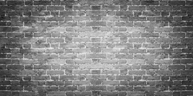 el_capullo's profile banner image