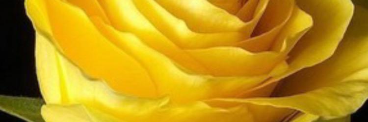 bnb5066's profile banner image