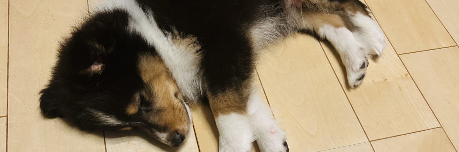 pugmink's profile banner image