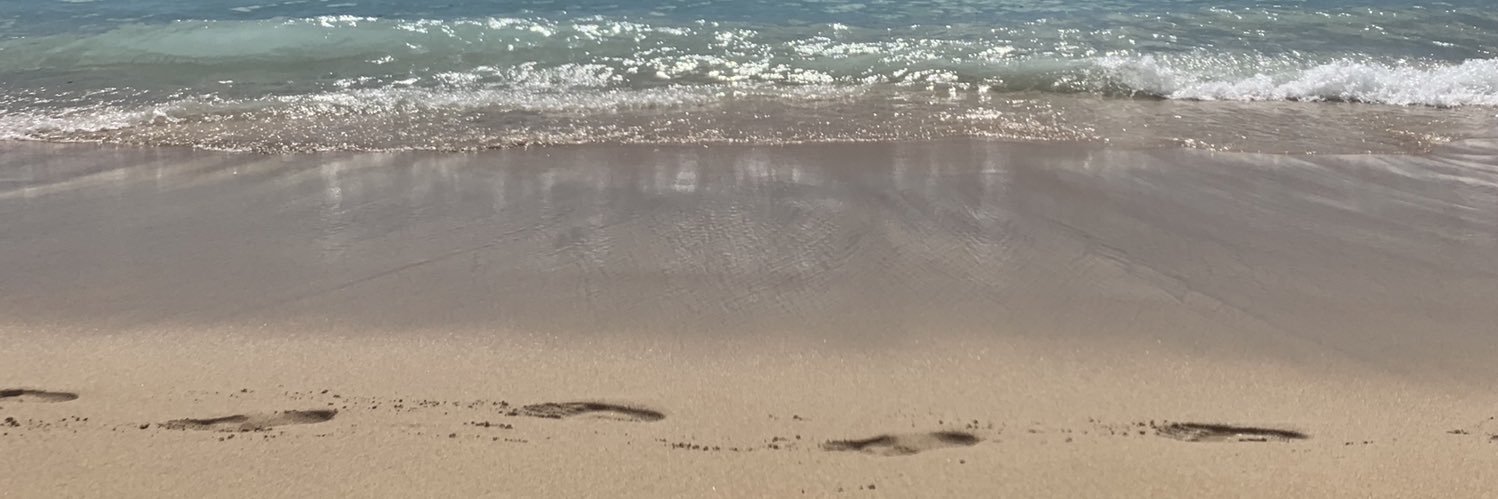 mmmmonch's profile banner image