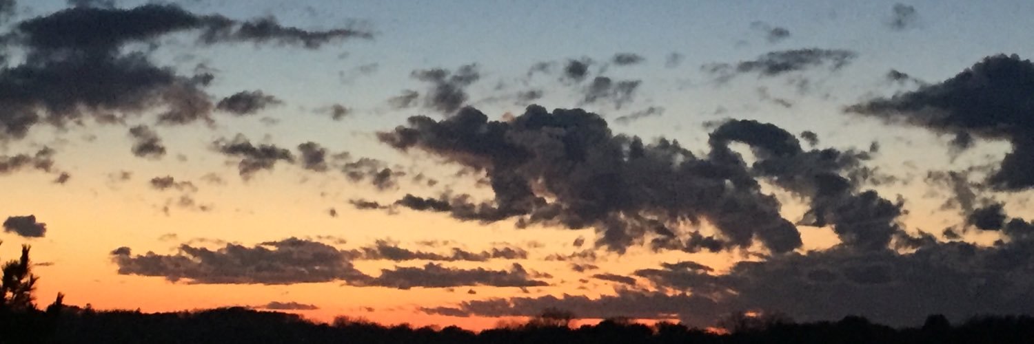 gavin_plto's profile banner image