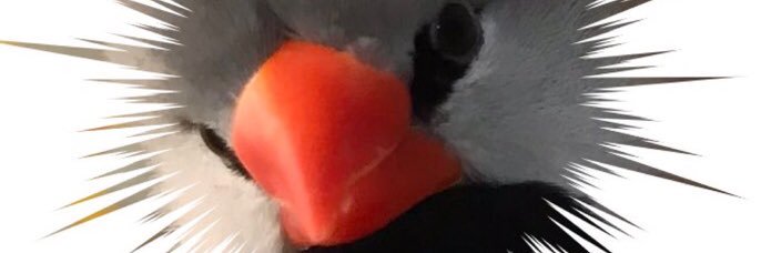 小桜　うに's banner