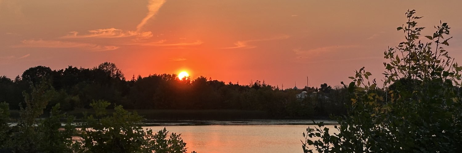 stephhwaii's profile banner image