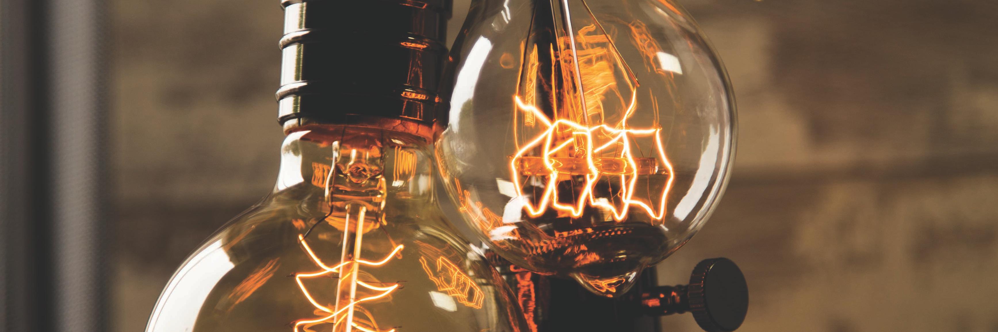 WWatsonBulbs's profile banner image
