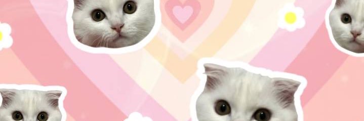 Netsara25_'s profile banner image