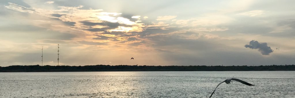 traaamyv's profile banner image
