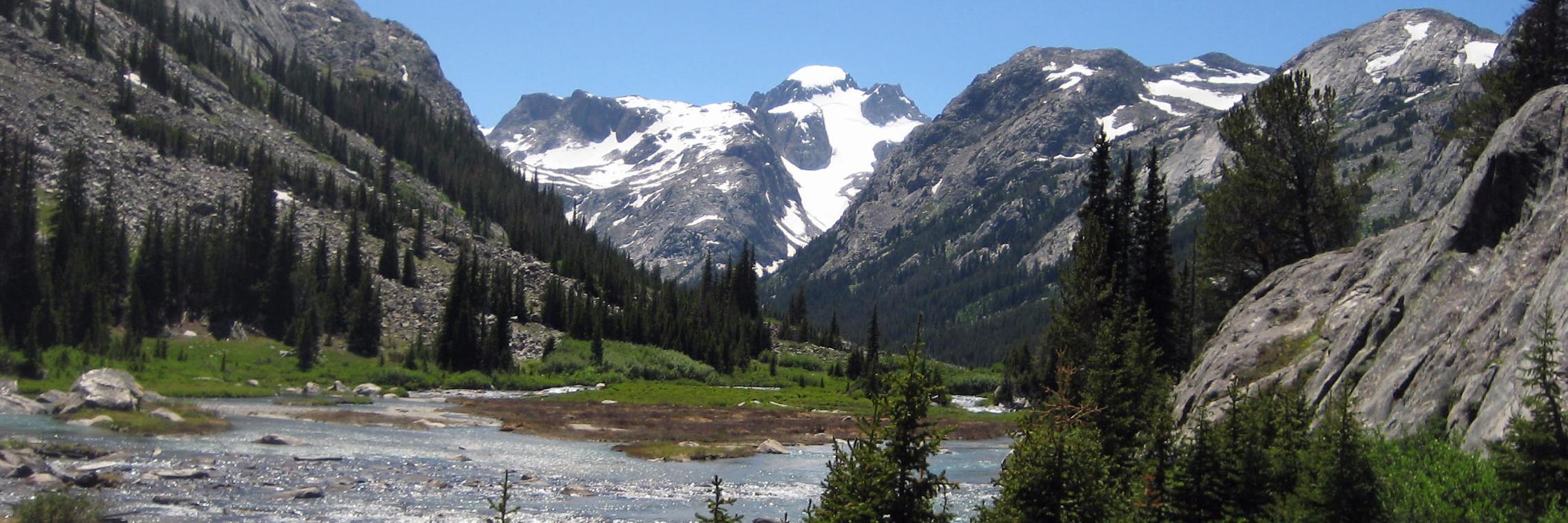 Michael Manning banner