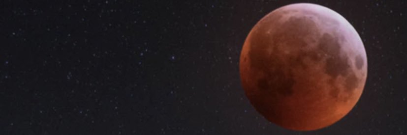 novacococane's profile banner image
