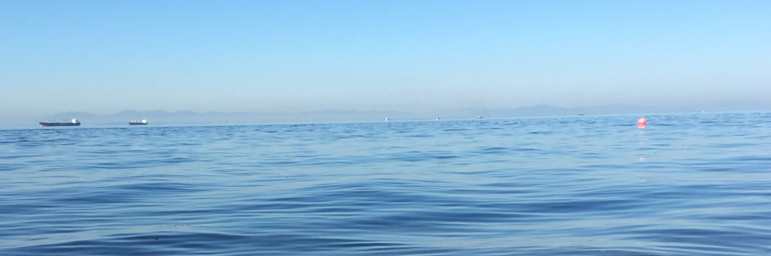 bertouzeau's profile banner image