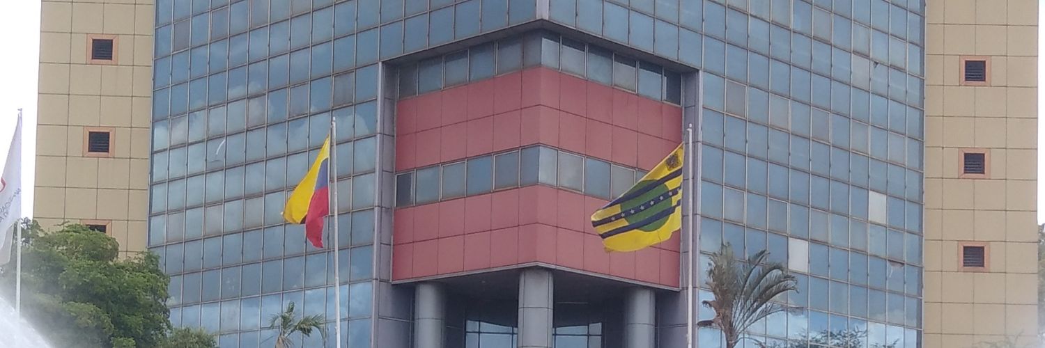 negrozaraza's profile banner image
