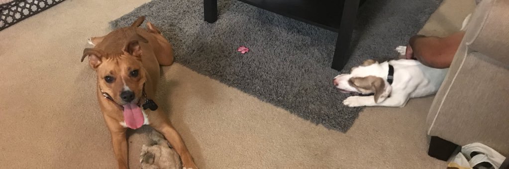 YaBoyBrea's profile banner image