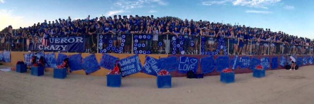 LosAltos Renaissance banner