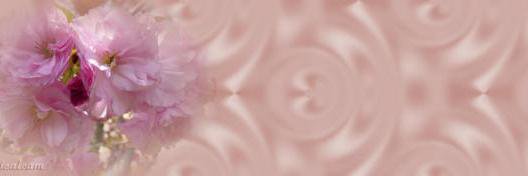 GoldLeily's profile banner image