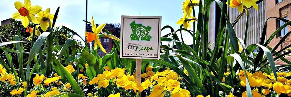 Youngstown CityScape banner