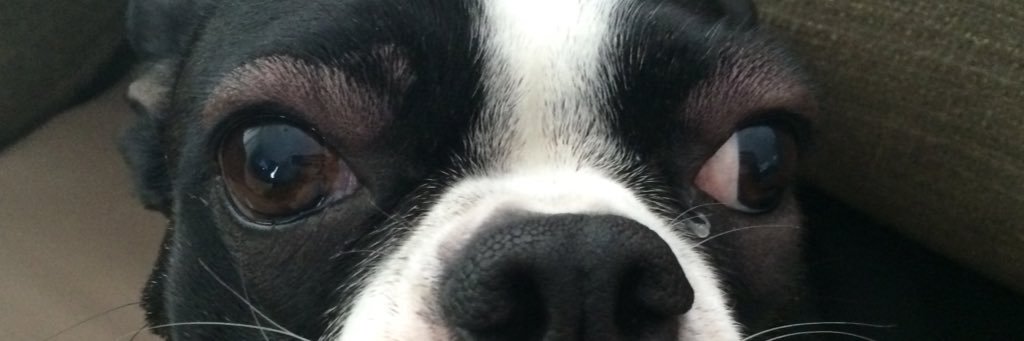 JackPastit1's profile banner image
