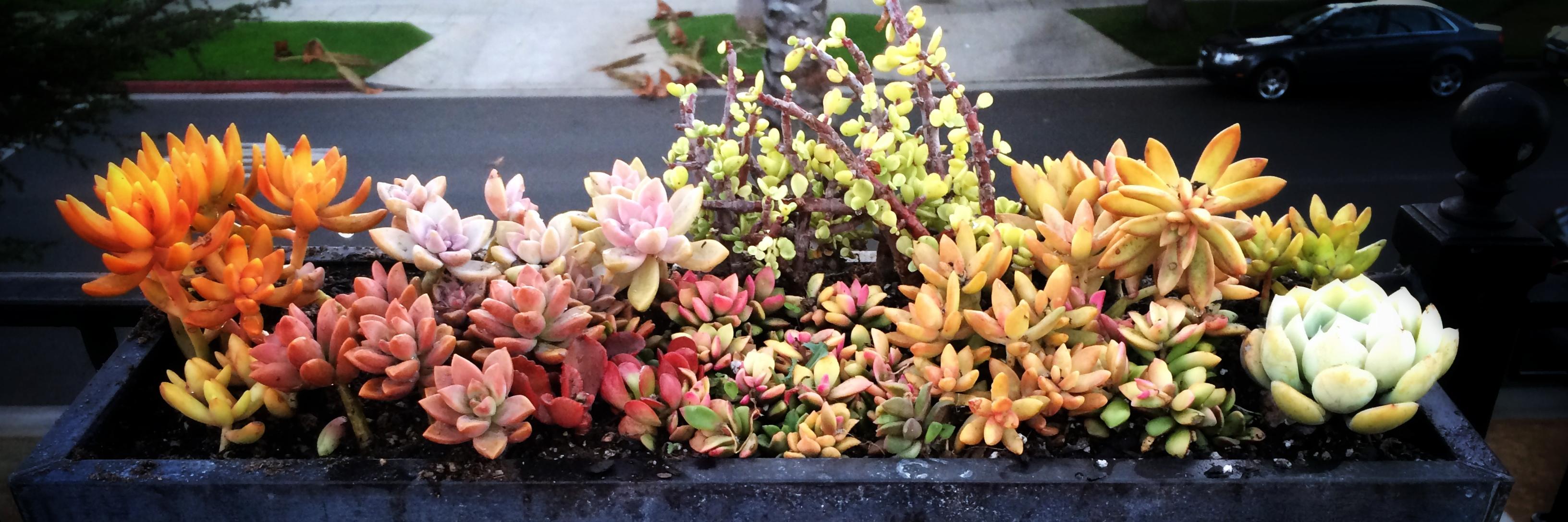 amyrlevin's profile banner image