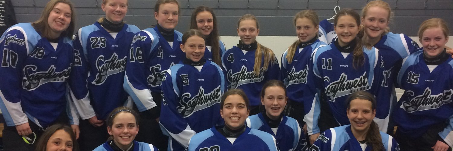 SouthwestB's profile banner image