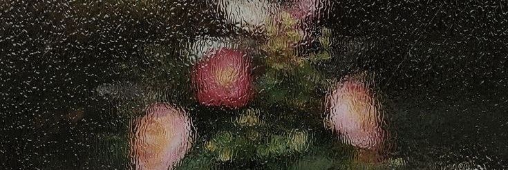 annv_97's profile banner image