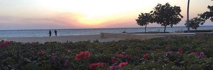ijomana_sameer's profile banner image