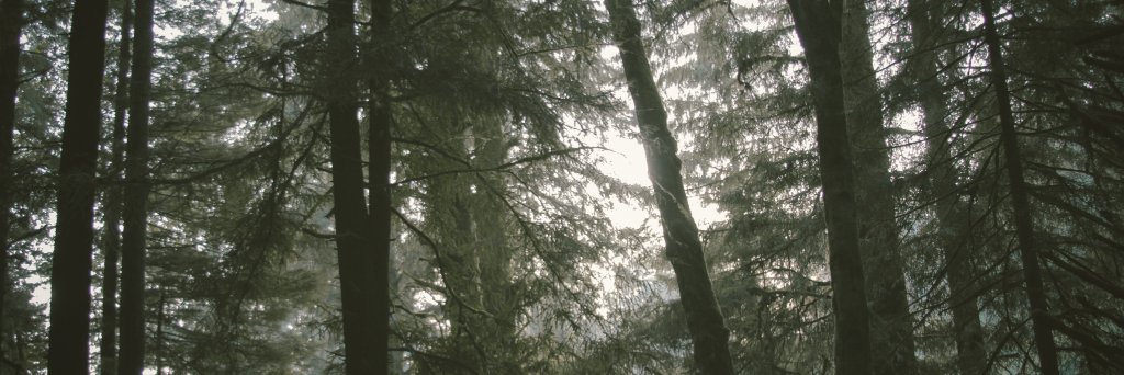 blackuken's profile banner image