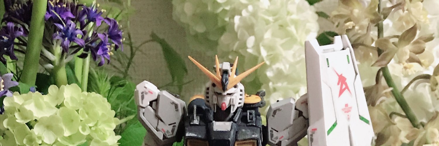 koujinjpw's profile banner image