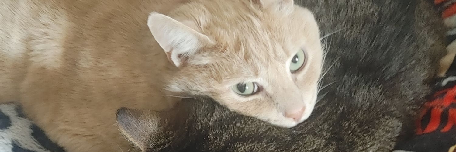 MikeRGroves's profile banner image