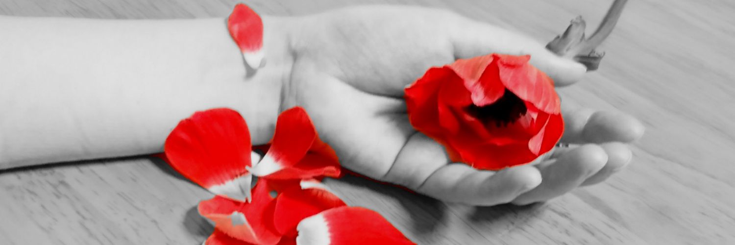 kyk_31's profile banner image