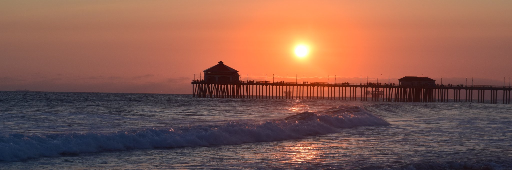 Michael Royzen banner