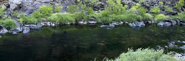 pimpiindee Profile Banner