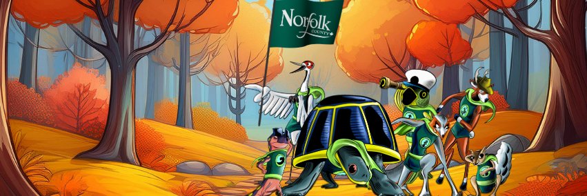 Norfolk County Rec banner