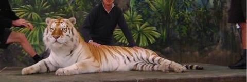 RtangTang's profile banner image