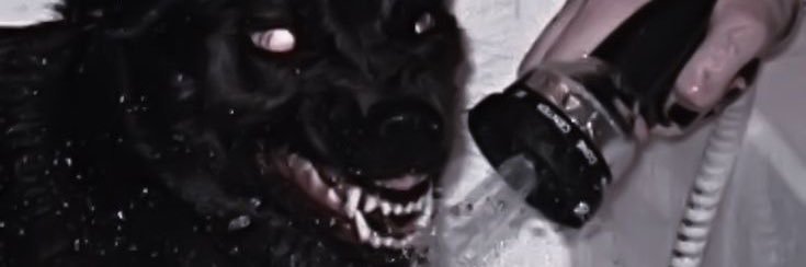 dragunxx's profile banner image